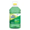 Fraganzia Multi-Purpose Cleaner, Forest Dew Scent, 175 Oz Bottle, 3/carton - Image 3