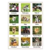 Puppies Monthly Wall Calendar, Puppies Photography, 15.5 x 22.75, White/Multicolor Sheets, 12-Month (Jan to Dec): 2024 - Image 2