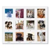 Earthscapes Recycled Desk Tent Monthly Calendar, Puppies Photography, 8.5 x 4.5, White Sheets, 12-Month (Jan to Dec): 2024 - Image 2