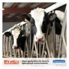 L10 SANI-PREP Dairy Towels, POP-UP Box, 1-Ply, 10.25 x 10.5, White, 110/Pack, 18 Packs/Carton - Image 2