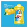 Multi-Surface Antibacterial Cleaner, Summer Citrus, 28 Oz Bottle