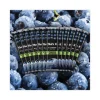 Nutrition Bar, Probiotic Blueberry Fruit, 1.2 oz Bar, 12/Carton, Ships in 1-3 Business Days - Image 3