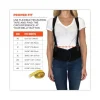 ProFlex 1600 Standard Elastic Back Support Brace, X-Large, 38" to 42" Waist, Black, Ships in 1-3 Business Days - Image 2