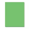 Riverside Construction Paper, 76 lb Text Weight, 18 x 24, Green, 50/Pack