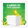 Flings Detergent Pods, Orginal, 81 Pods/Tub - Image 3