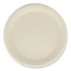 Bagasse PFAS-Free Dinnerware, Plate, 10″ dia, Tan, 500/Carton - Image 3