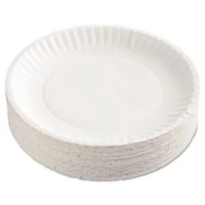 Paper Plates, 9″ Dia, White, 100/pack, 12 Packs/carton