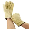 Unlined Pigskin Driver Gloves, Cream, Large, 12 Pairs - Image 2