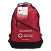 Bulk Ansi 2015 Compliant First Aid Kit, 211 Pieces, Plastic Case - Image 2