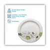Pathways Soak Proof Shield Heavyweight Paper Plates, 10.13″ Dia, Green/burgundy, 125/pack - Image 3